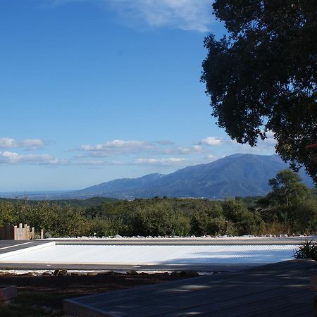 Mas La Marchette Bed & Breakfast Céret Екстериор снимка