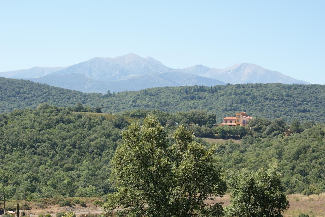Mas La Marchette Bed & Breakfast Céret Екстериор снимка