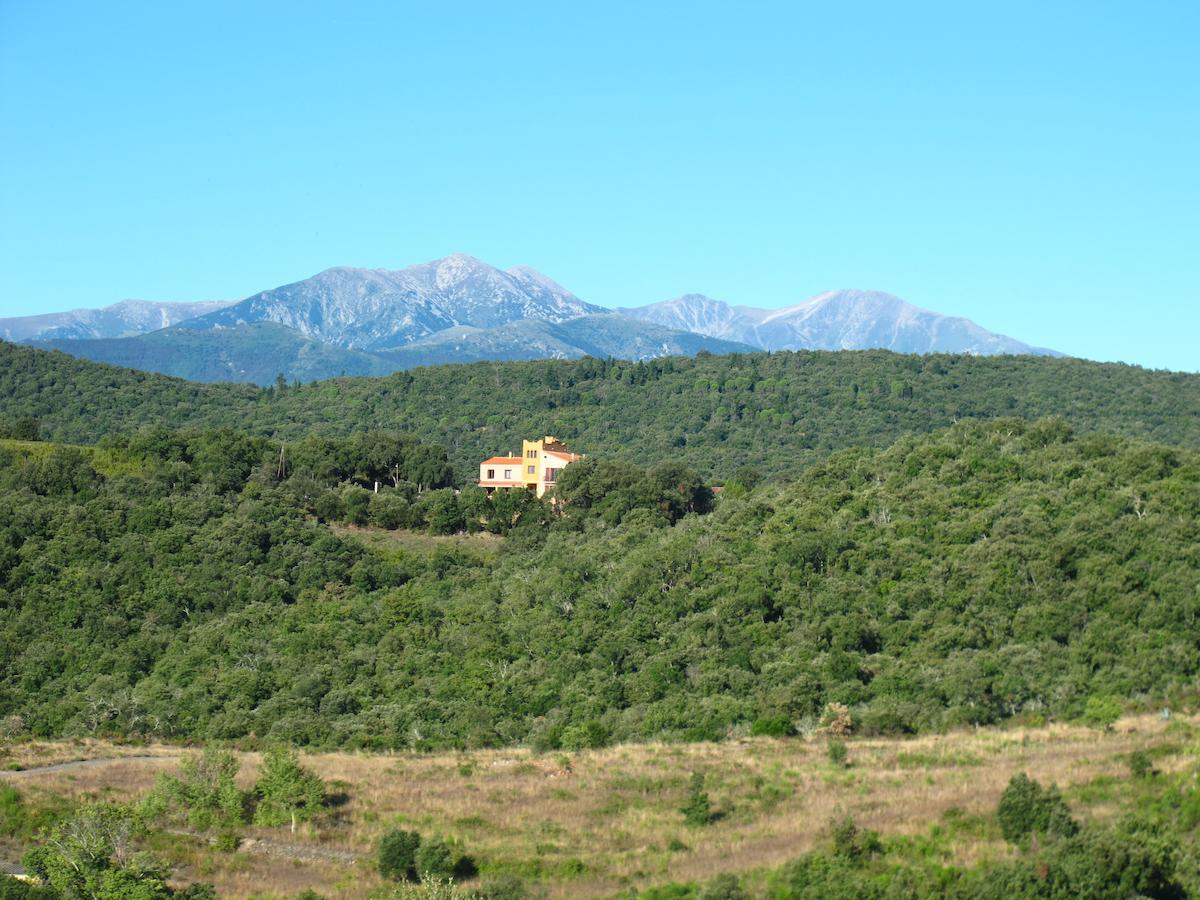 Mas La Marchette Bed & Breakfast Céret Екстериор снимка